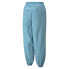 Puma Crystal G. Drawstring Woven Pants Womens Blue Casual Athletic Bottoms 53359