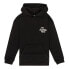 ELEMENT Timber Novel hoodie