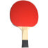 Ping-pong racket Butterfly Timo Boll SG11 85012