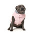 FUZZYARD Cremorne Dog Sweatshirt Hoodie