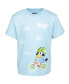 2 Pack T-Shirts Toddler to Little Kid