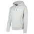 SUPERDRY Core Logo hoodie