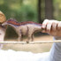 Schleich Dinosaurs Amargasaurus| 15029