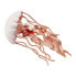 SAFARI LTD Jellyfish Sea Life Figure