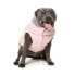 FUZZYARD Cremorne Dog Sweatshirt Hoodie