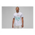 Nike Air Jordan Brand Graphic Crew