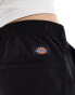 Dickies jackson tech nylon tape belt shorts in black- exclusive to asos