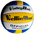 DIMASA Official Volleyball Size