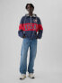 Team USA Oversized Anorak Jacket