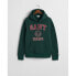 GANT Front Graphic hoodie