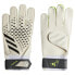 ADIDAS Predator goalkeeper gloves