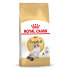 ROYAL CANIN Ragdoll Poultry Adult 2kg Cat Food