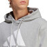 ADIDAS Bl Ft hoodie