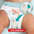 Baby Pants Premium Protection Gr.5 Junior (12-17 kg), Monatsbox, 144 St