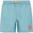 PROTEST York swimming shorts