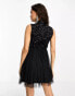 Maya Petite high neck mini tulle dress with tonal delicate sequin in black