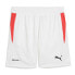 PUMA SELECT Individual Tra Shorts