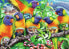 Ravensburger Puzzle 2D 1000 elementów Kraina Lorikeet