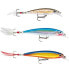 RAPALA X-Rap minnow 2g 40 mm