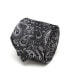 Vader Paisley Men's Tie