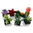 LEGO Creator Succulents 10309 construction toy