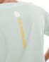 The North Face Vertical NSE logo backprint oversized t-shirt in light green