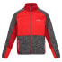 REGATTA Coladane IV fleece