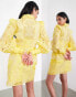 ASOS EDITION embroidered organza mini shirt dress in yellow