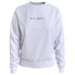 TOMMY JEANS Regular Color Serif Linear sweatshirt