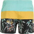 O Neill Męskie Szorty MIX & MATCH CALI BLOCK 15'' SWIM SHORTS