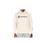 Champion Hooded Sweatshirt