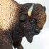 SAFARI LTD North American Bison Figure