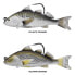 LIVE TARGET Croaker swimbait 28g 100 mm