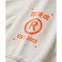 SUPERDRY Utility Sport Logo Loose hoodie