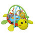 GIROS Deluxe Ladybird Playgym