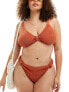 South Beach Curve crinkle high waist bikini bottom in rust