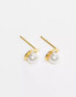 Kingsley Ryan pearl teardrop stud earrings in gold plated