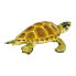 SAFARI LTD Loggerhead Turtle Figure