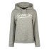 SUPERDRY Vintage Downtown Scripted hoodie