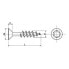 EUROMARINE 9050 A4 5x30 mm Z Chipboard Screw 50 Units