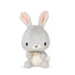 KALOO Teddy Rabbit