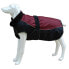 FREEDOG North Pole Model C Dog Jacket