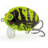 SALMO Lil Bug crankbait 4.3g 30 mm