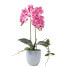 Künstliche pinke Phalaenopsis-Orchidee