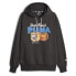 Puma Dylan Pullover Hoodie Mens Black Casual Outerwear 62204501