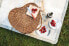 Heart Picnic Basket