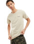 Columbia Rapid Ridge back print t-shirt in beige Exclusive at ASOS