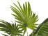 Kunstpflanze FAN PALM