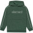 ELEMENT Cornell 90S hoodie