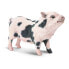 SAFARI LTD Pot–Bellied Pig Figure